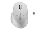 Myszka - Natec Siskin 2 - mouse - 2.4 GHz Bluetooth 5.0 - white - Myszy - Optyczny - 3 - Biały - NMY-1972