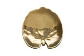 Zastawa stolowa - Costa Nova Plate water lily pad Riviera 18 x 17 cm Golden Ceramic - 22710