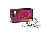 Inteligentny dom - Philips Hue Festavia Outdoor String Lights (250 LEDs) — White & Color Ambiance - 929003674402