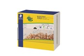 Przybory do pisania i rysowania - Staedtler Dispenser Noris HB 100% PEFC - 120HBCA1 P