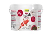 Ryby - Tetra KOI Beauty Small 10 L - T709595