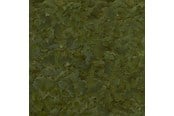 Ryby - SERA Flora Nature 250ml - 914547