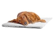 Psy - Dogman Mat Malva - 810060