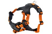 Psy - Dogman Sport harness Emmi - 213707
