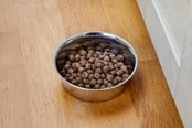 Psy - Dogman Heavy Miska dla Zwierząt ze Stali Nierdzewnej Metalowa 2680ml - 369633