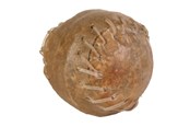 Psy - Trixie Chew ball 8cm - TX2673
