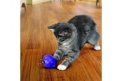 Koty - KONG Cat Treat Dispensing Ball 7.5cm - 340335