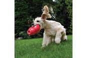 Psy - KONG Dog Toy Bounzer Medium 15cm - 340374