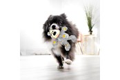 Psy - KONG Zabawka dla psa Wild Knots Bear Różne Kolory XS 10cm - 340492