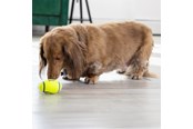 Psy - KONG Zabawka dla psa AirDog Squeaker Football Small 8cm - 340528