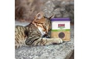 Koty - KONG Naturals Premium Catnip 28g - 340628