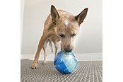 Psy - KONG Dog Toy Rewards Ball Large 12cm - 340740