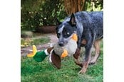 Psy - KONG Dog Toy Shakers Honkers Duck Large 45cm - 340777