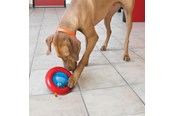 Psy - KONG Dog Toy Gyro Small 14cm - 340808