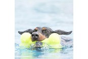 Psy - KONG Zabawka dla psa AirDog Squeaker Bone 11cm - 340912
