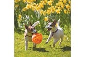Psy - KONG Dog Toy Jumbler Ball Medium/Large 14cm - 340917