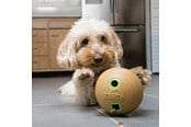 Psy - KONG Dog Toy Bamboo Feeder Dumbbell M - 340925