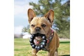 Psy - KONG Dog Toy Extreme Ring XL 13cm - 340926