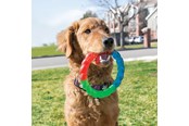 Psy - KONG Dog Toy Twistz Ring Small 17cm - 340938
