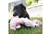Psy - KONG Dog Toy Low Stuff Flopzie Fox 48cm - 340972