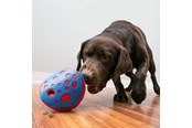 Psy - KONG Activation Toy Rewards Wally - 341014