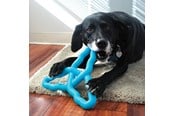 Psy - KONG Dog Toy Flyangle Assorted Colors Large - 341015