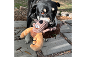 Psy - KONG Dog Toy Sherps Floofs Moose 25cm - 341018
