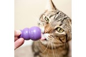 Koty - KONG Kitty Kong - 341104