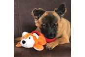 Psy - KONG Dog Toy Cozie Pocketz Beaver Medium 33cm - 341128