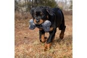 Psy - KONG Dog Toy Maxx Bone Small/Medium 28cm - 341189