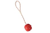 Psy - Trixie Ball on Rope ø 4.5/35 cm assorted colours - TX33481