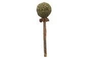 Koty - Trixie Matatabi Lolly 11 cm - TX42430