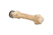 Zabawki dla ptaków - Trixie Perch with screw attachment coffee wood 20 cm/ø 20–30 mm - TX58740
