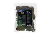 Gryzonie - Trixie Terrarium moss 200g - TX76155