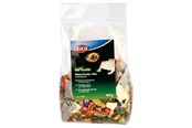 Food - Trixie Food mixture for bearded dragons 100 g - TX76265
