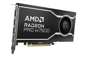 Karta graficzna - AMD Radeon Pro W7500 - 8GB GDDR6 RAM - Karta graficzna - 100-300000078