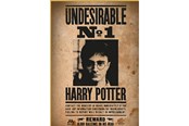 Puzzle - Thumbs Up! Harry Potter "Wanted No. 1" Puzzle - 8435450255397