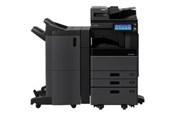Tusz, toner i material eksploatacyjny - Toshiba T-3008E - black - original - toner cartridge - totot30080