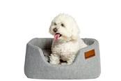 Psy - Danish Design Colour Block Silver Lux Slumber legowisko duże - d01922