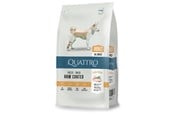 Psy - Quattro All Breed with Poultry Adult 12kg - 13053