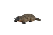 Zabawki - Mojo Wildlife Platypus - 387106