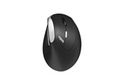 Myszka - RAPOO EV250 - Ergonomiczne myszki - Optyczna / zyroskopowa - 6 - Czarny - 13531