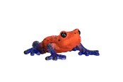Zabawki - Mojo Wildlife Poison Dart Tree Frog - 381016