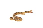 Zabawki - Mojo Wildlife Rattlesnake - 387268