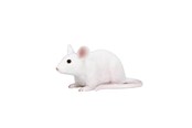 Zabawki - Mojo Farmland Mouse - 387235 - 387235