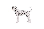 Zabawki - Mojo Farmland Dalmatian - 387248