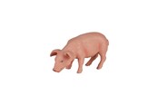 Zabawki - Mojo Farmland Eating Piglet - 387056
