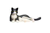 Zabawki - Mojo Farmland Lying Cat Black/White - 387367