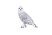Zabawki - Mojo Wildlife Snowy Owl - 387201