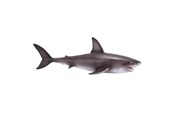 Zabawki - Mojo Sealife Great White Shark - 381012